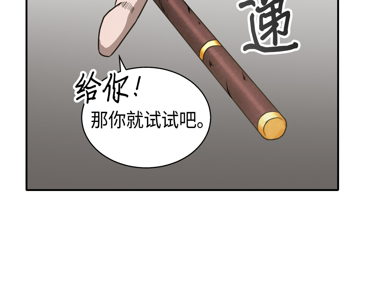 新的夺宝征程 第 66 页