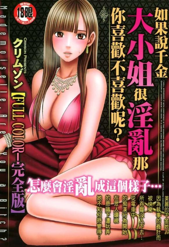 ムリヤリ犯されてこんなに感じてしまわれるなんて…もしかしてお嬢様は淫乱でいらっしゃいますか？ 漫画封面