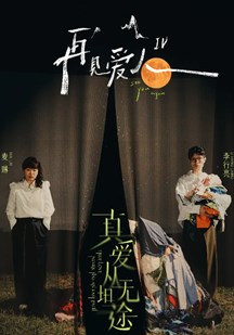 再见爱人第四季