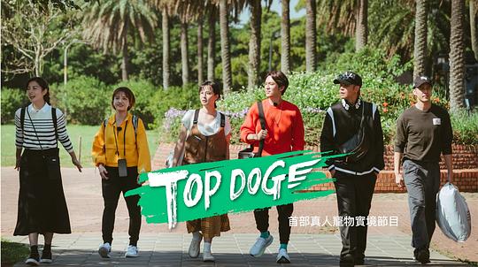 TOPDOG